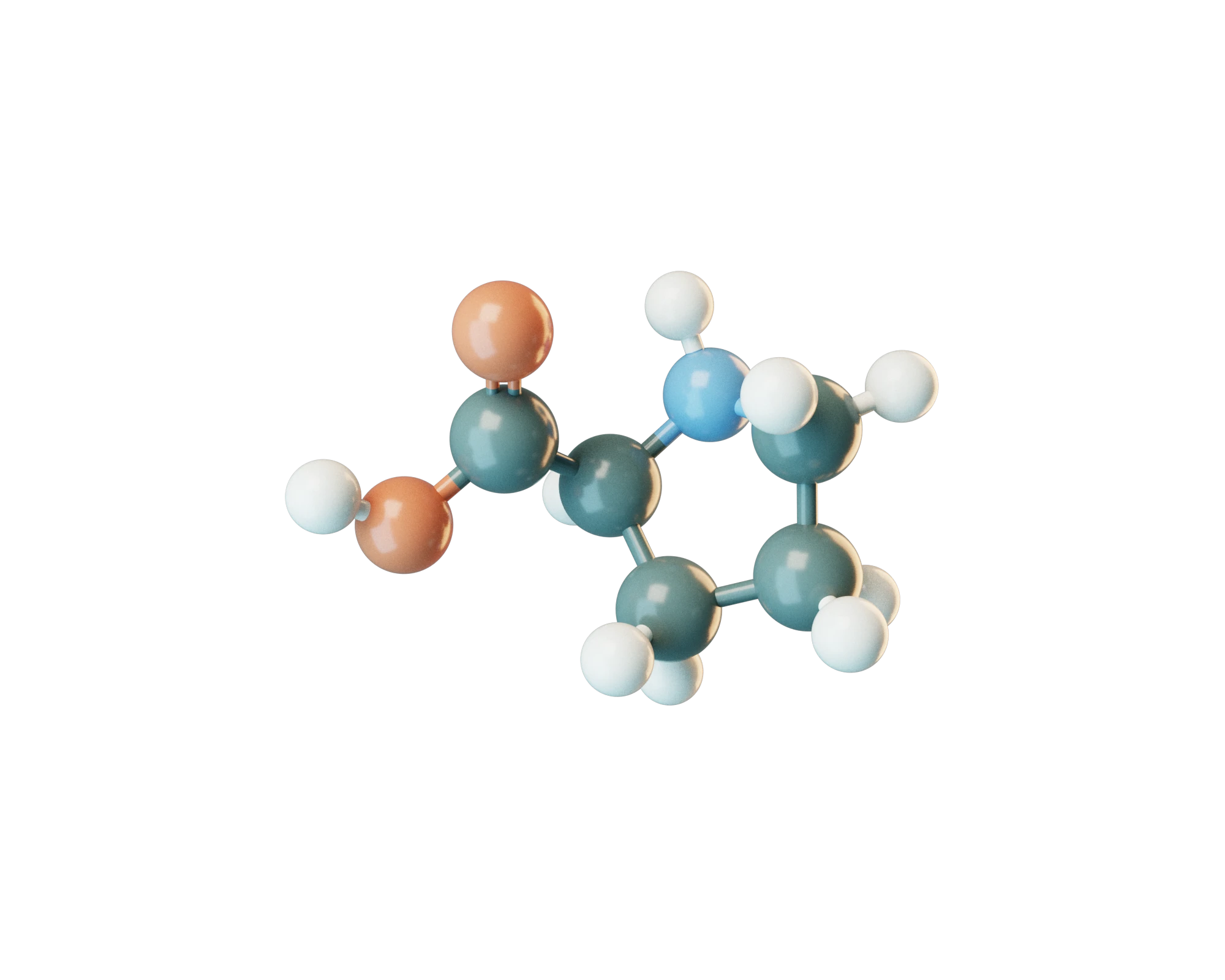 L-Proline molecular model