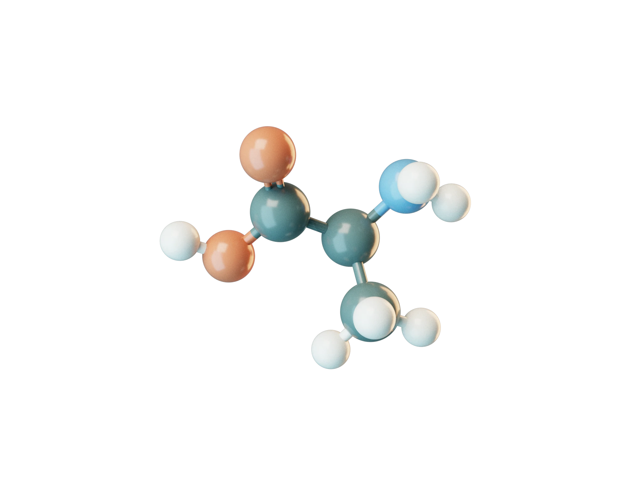 L-Alanine molecular model
