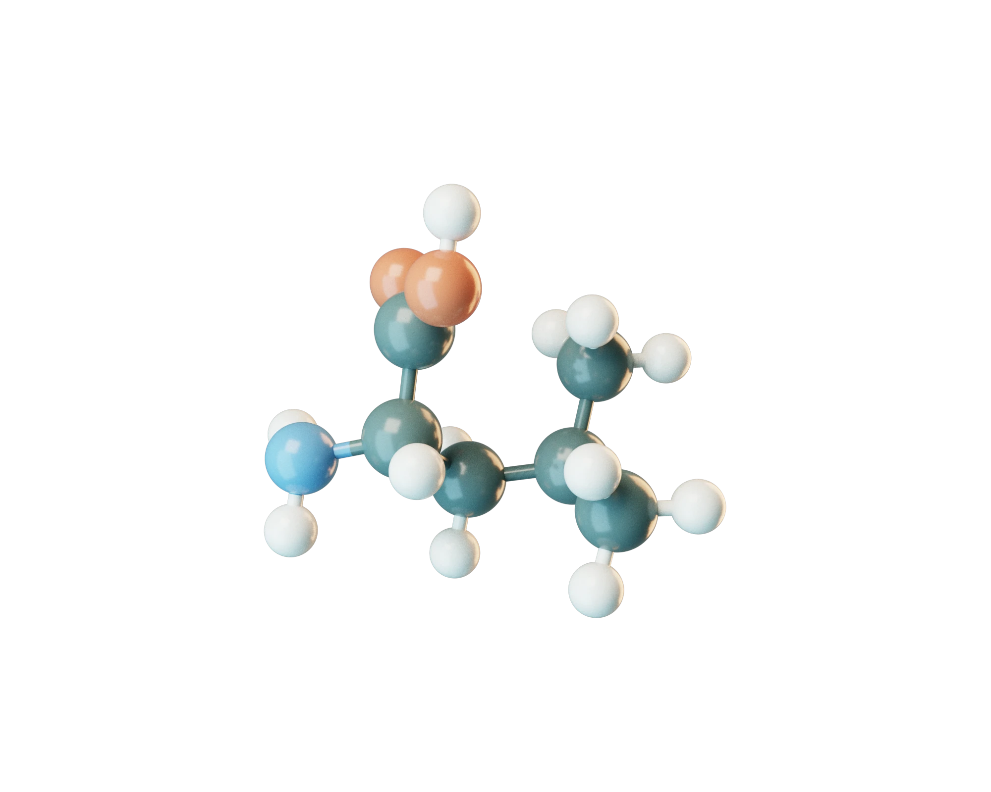 L-Leucine molecular model