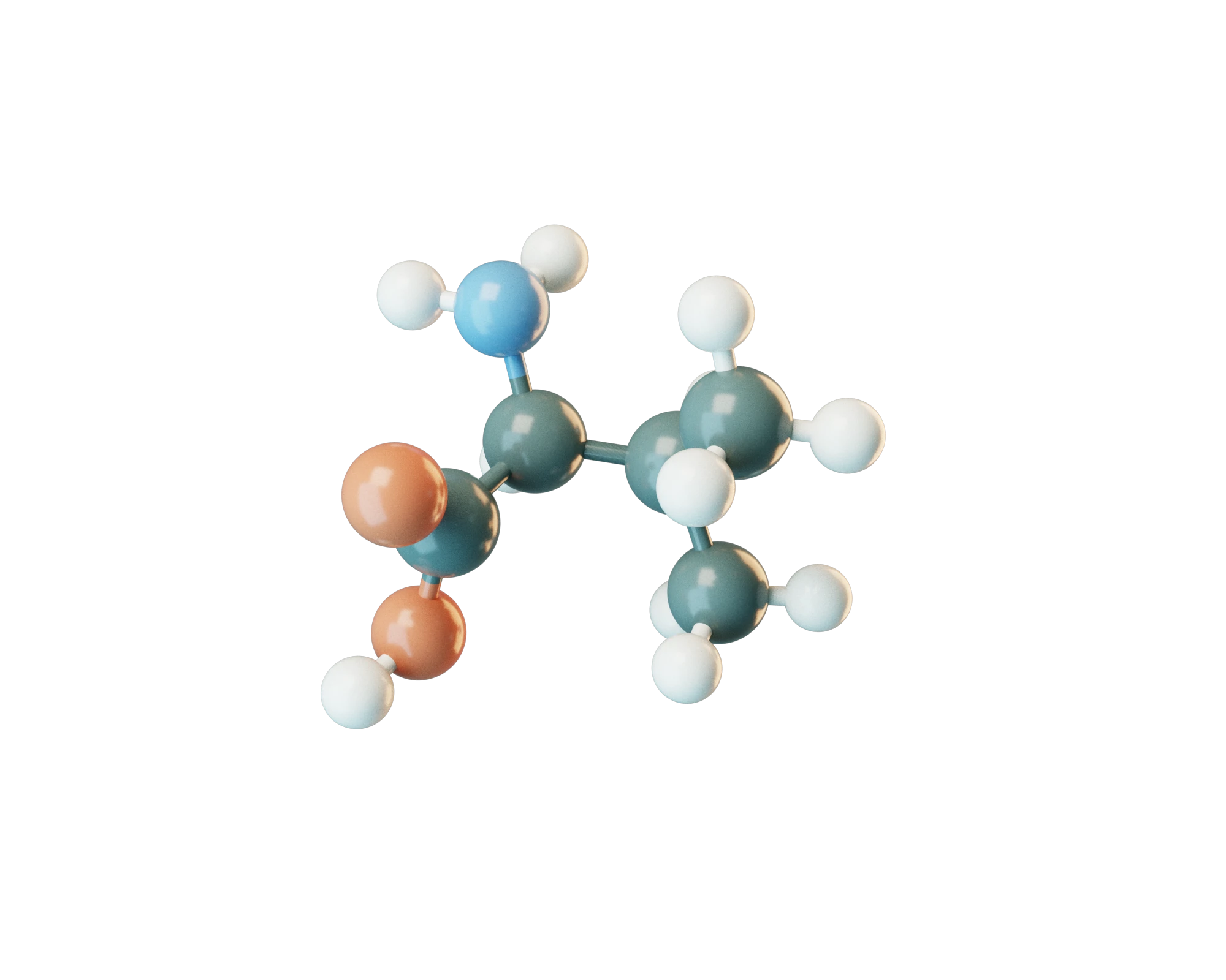 L-Valine molecular model